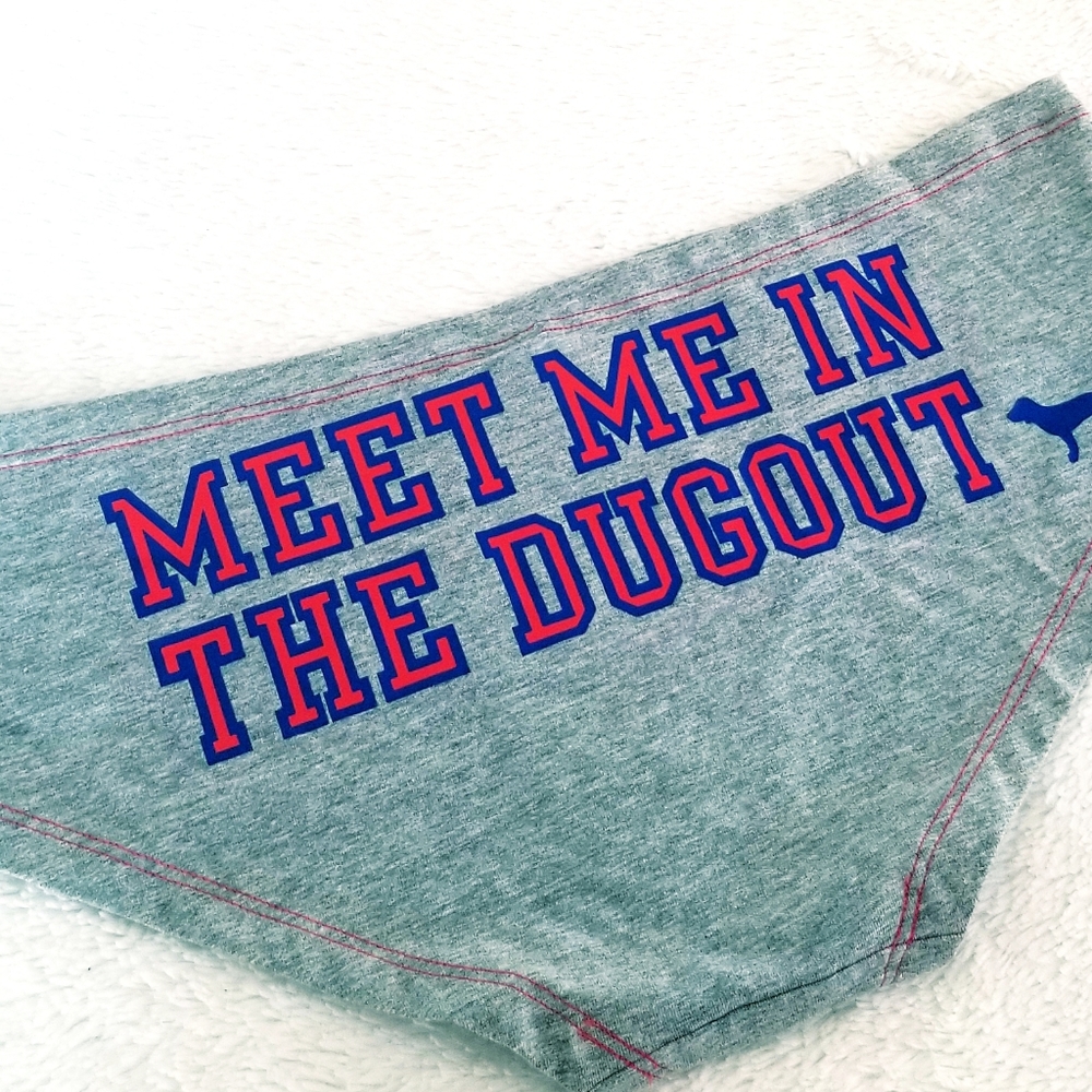 Victoria's Secret PINK Vintage Major League Baseball Chicago Cubs Hipster Panty - Picture 8 of 12